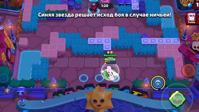 стар путь новичка-день 8.