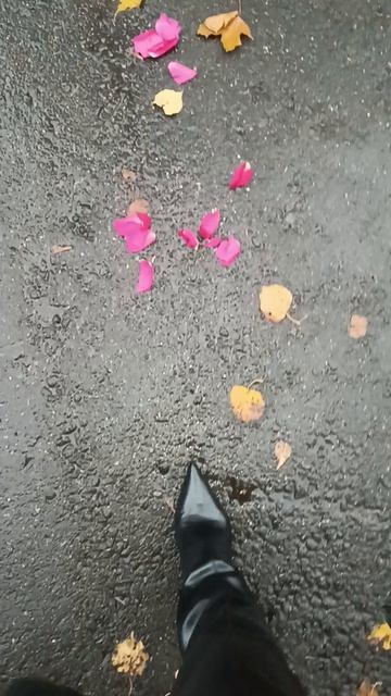 1000141871.mp4