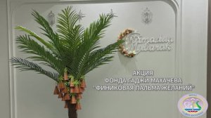 Акция Фонда Гаджи Махачева «Финиковая пальма желаний»