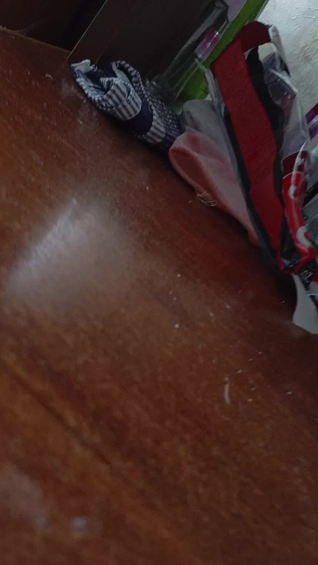 АПАЕМ Леона