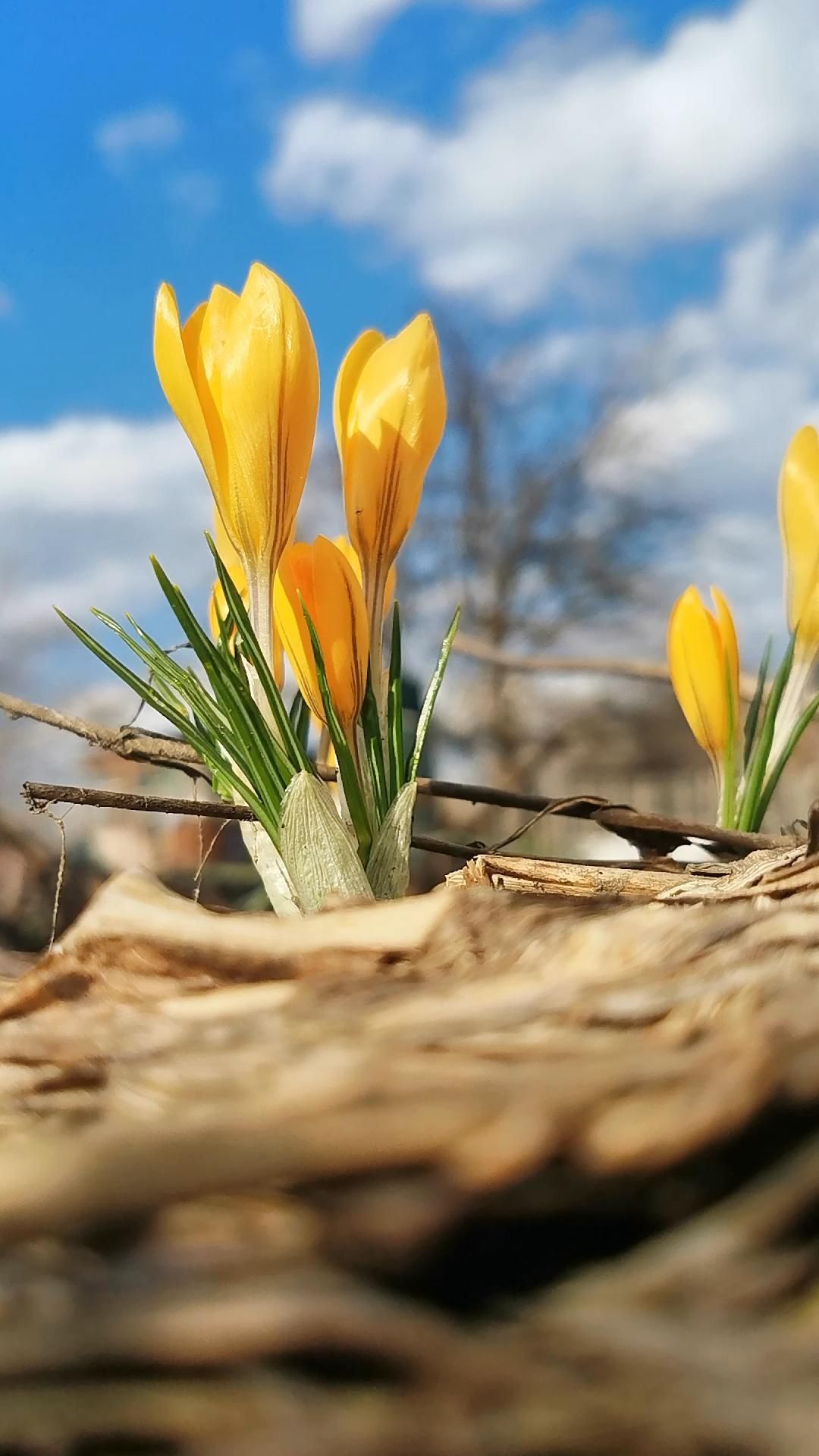 Чистим, ремонтируем, строим: два выходных в одной минуте.