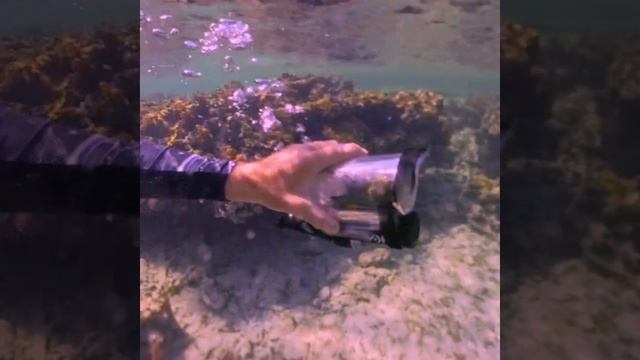 AQMGvvnI9c7bJNoZhhJpYvJLh9FcWwxCAnWHcjrJPHfgHF2H7a9rrVEYMDgNFuNExXOECzdmbYv