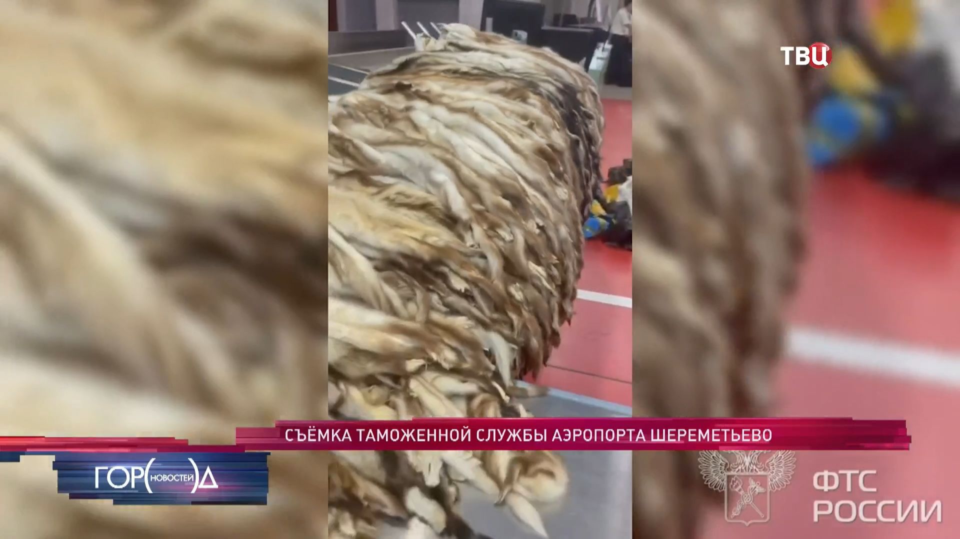 Иностранец пытался вывезти из 