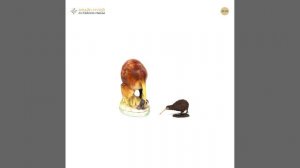 Киви (птица, Новая Зеландия)