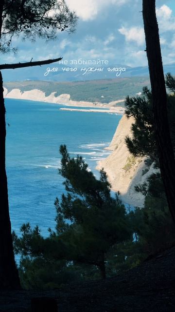 Путешествия | Питер | Абхазия | Черное море