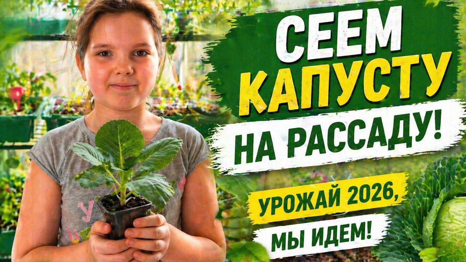 Такому способу посева капусты меня научила 10-летняя дочь! Крепкая рассада обеспечена.