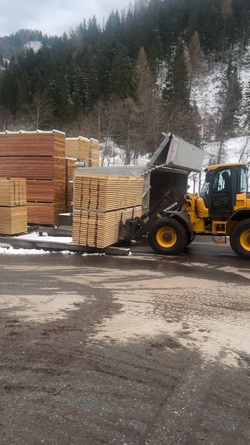 сушым строгаем