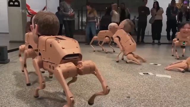 На выставке в Берлине бегают робопсы с головами Маска, Цукерберга, Безоса, Пикассо и Уорхола