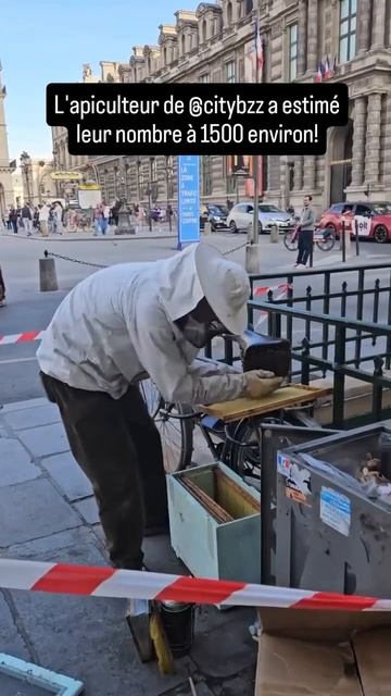 Рой пчёл поселился в центре Париже