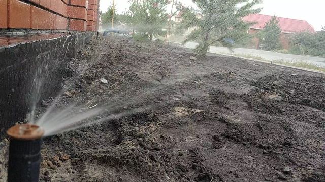 Автополив в работе