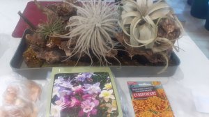 29.04.2026 Три покупки и ответы на Ваши вопросы про меня (разговорное видео).