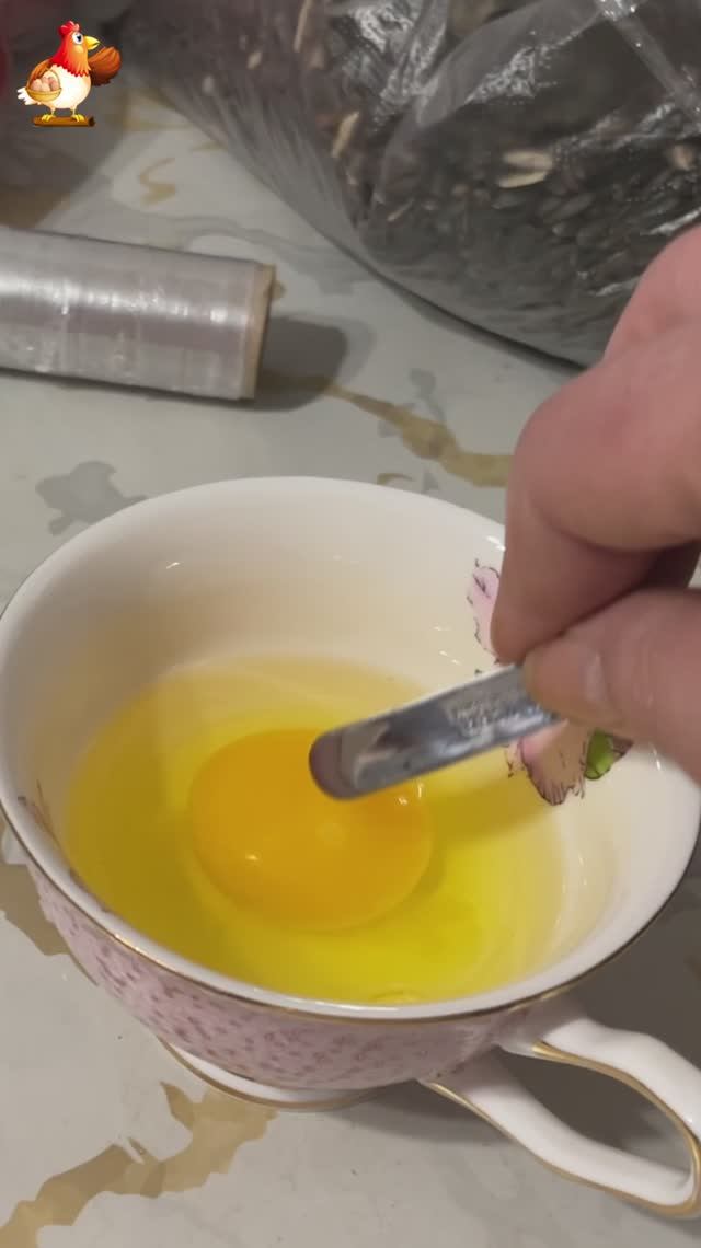 Цыпленок начнет расти в чашке в инкубаторе?