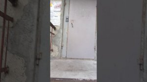 Тест универсальных ключей ходил по набережной нашёл домофон метаком визит и кодовый замок меттэм