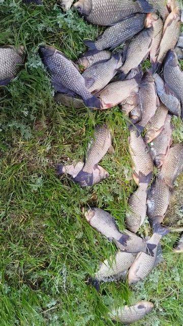 Рыбалка в Волгоградской области