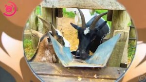 Семейное путешествие Насти Папы и Мамы [get.gt]