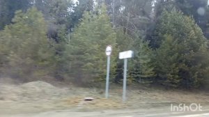 //206// Жизнь в деревне.Все работают,не покладая рук.