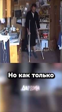 Кругосветное путешествие