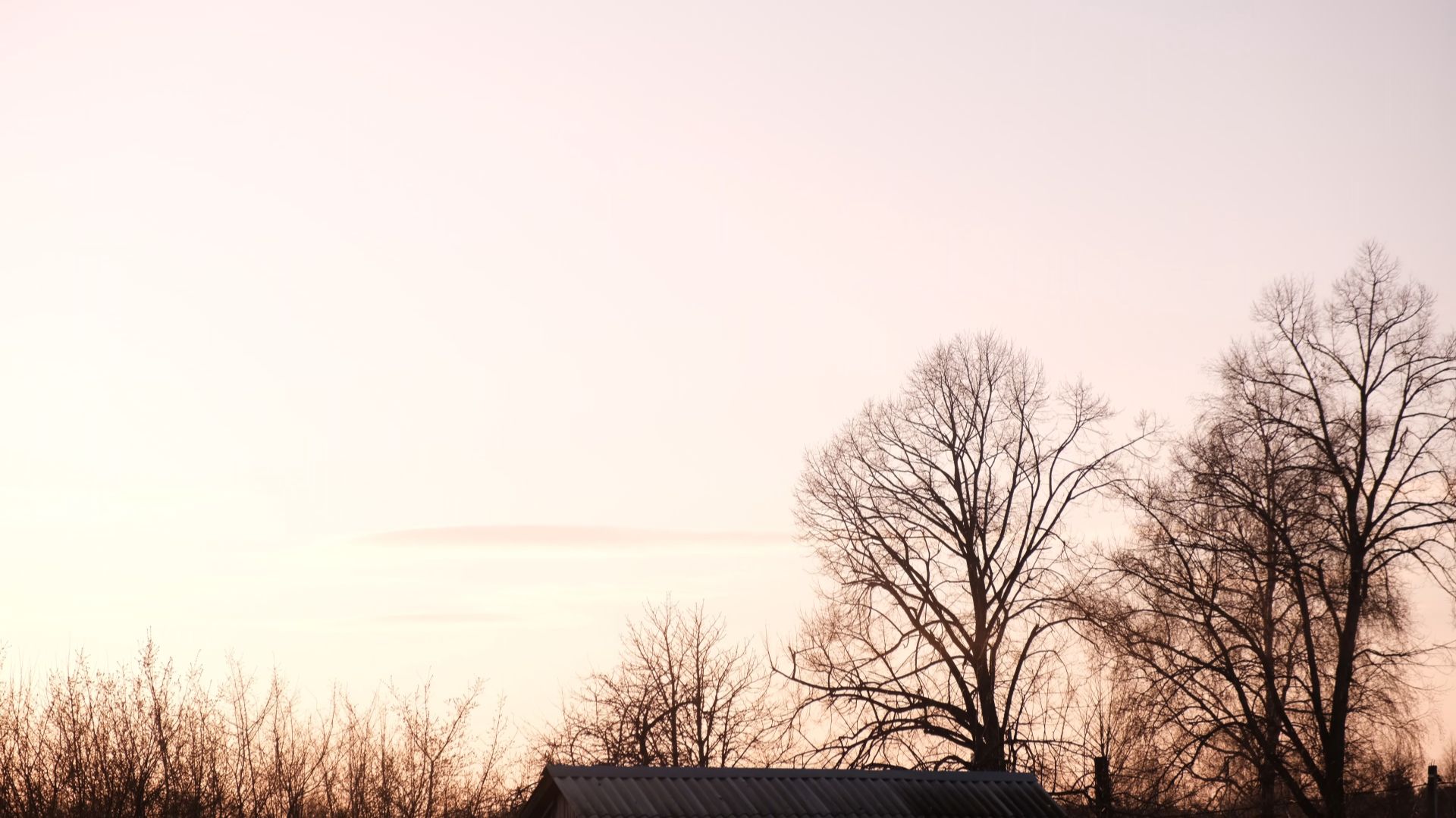 Деревенская атмосфера. Звуки природы весной.