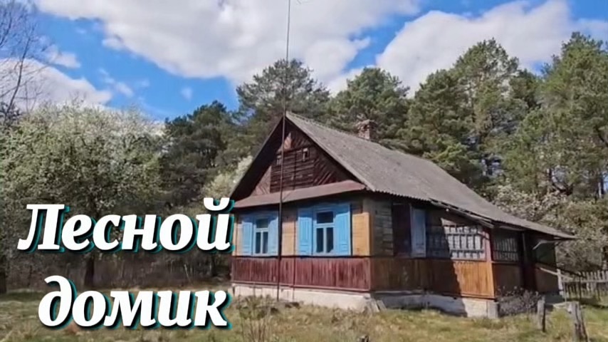 Лесной домик на ХУТОРЕ - заезжай и живи❗️Рутина: сажаем картошку 🥔 , растим бройлеров 🐥