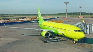 Перелет Москва - Сочи на Boeing 737-800 а/к S7 Airlines