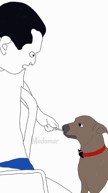 Собакен не спит