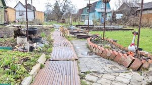 (1262) Лиса приходит в гости. Апрель 2026