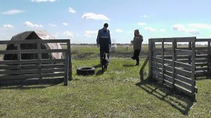 Один удачный день, распогодилось и дела пошли//Мы снова в месте//