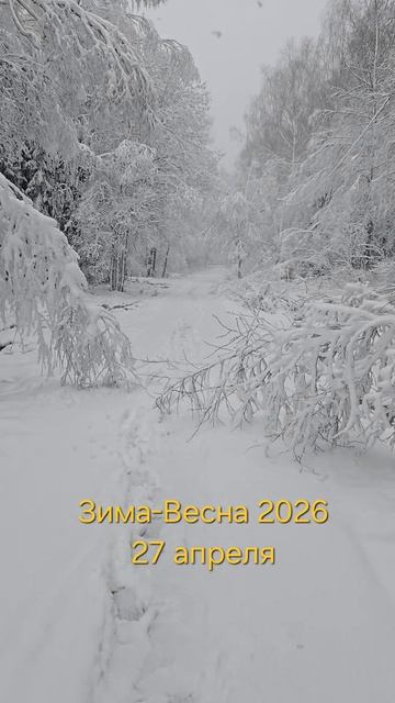 Зима-Весна 2026, 27 апреля. Сильнейший ночной снегопад