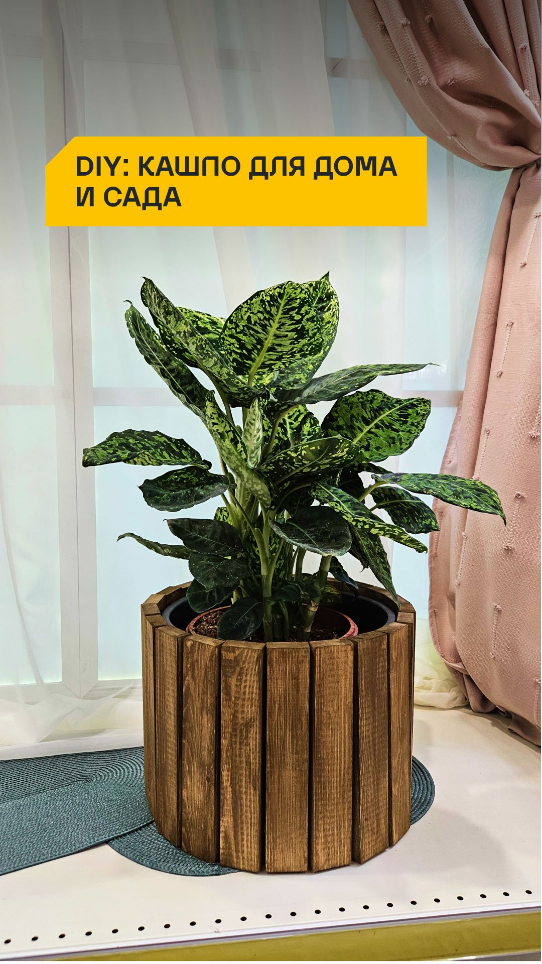 DIY: кашпо для дома и сада