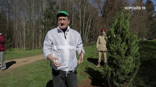 Масштабная уборка: более 2000 жителей вышли на Всероссийский субботник