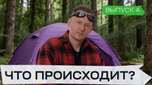 Протестировал ниши: что реально работает на Wildberries