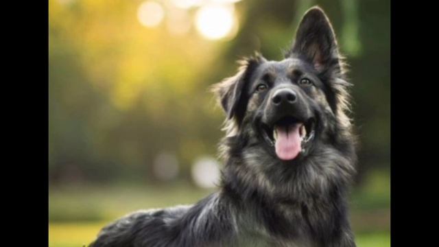 СПАСИБОВАМ ОГРОМНО !!!РЯЛЬНО СПАСИБООО МОИ ЛЮБИМЫЕ!¡!!!!!❤️🧡❤️🩷🩷💛