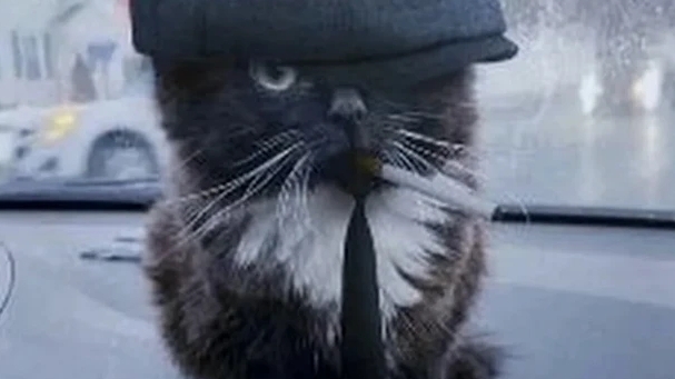 УРА  1 ПОДПИШЕК ЗА неделю...