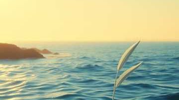 Праздник поэзии_2