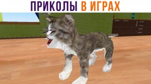 КОТ ЗАБАГОВАЛСЯ))) Игровые мемы