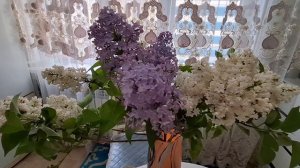 Чтоб сирень стояла дольше