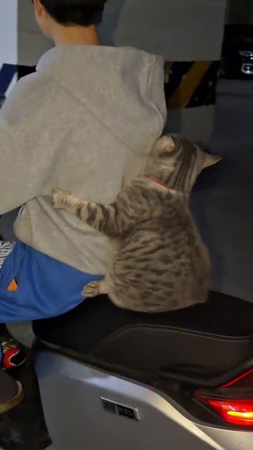 Изо всех сил держится