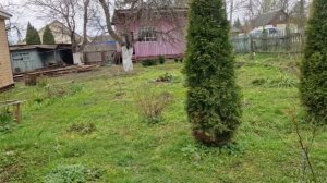 У МЕНЯ КОТЛЕТЫ В ДУХОВКЕ. НАШ НОВЫЙ ЗАБОР.