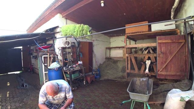 Влог от 26.08.2022