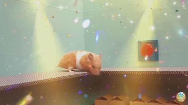 Приключения хомячка в игровом мире! 8