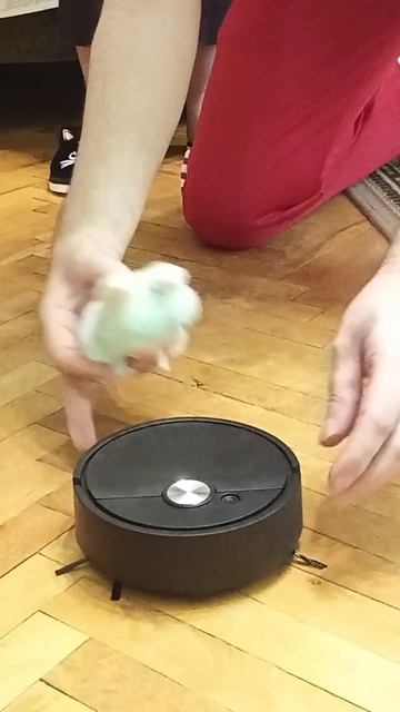 Распаковываем и тестируем дешёвый робот-пылесос с маркетплейса.