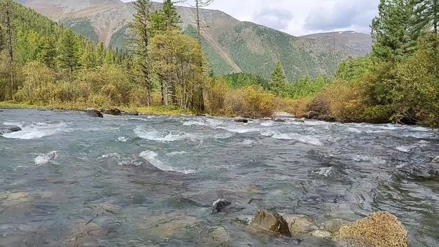 Алтай музыка горных рек.