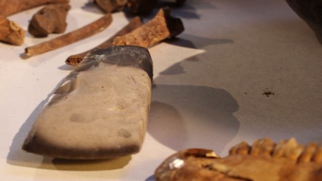 Историограф 13