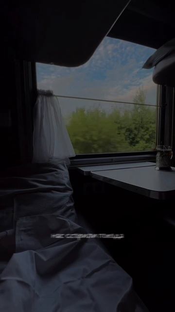 И рельсы — сердечный пульс…

#cover #поезда #женятрофимов #moodvideo #кавер