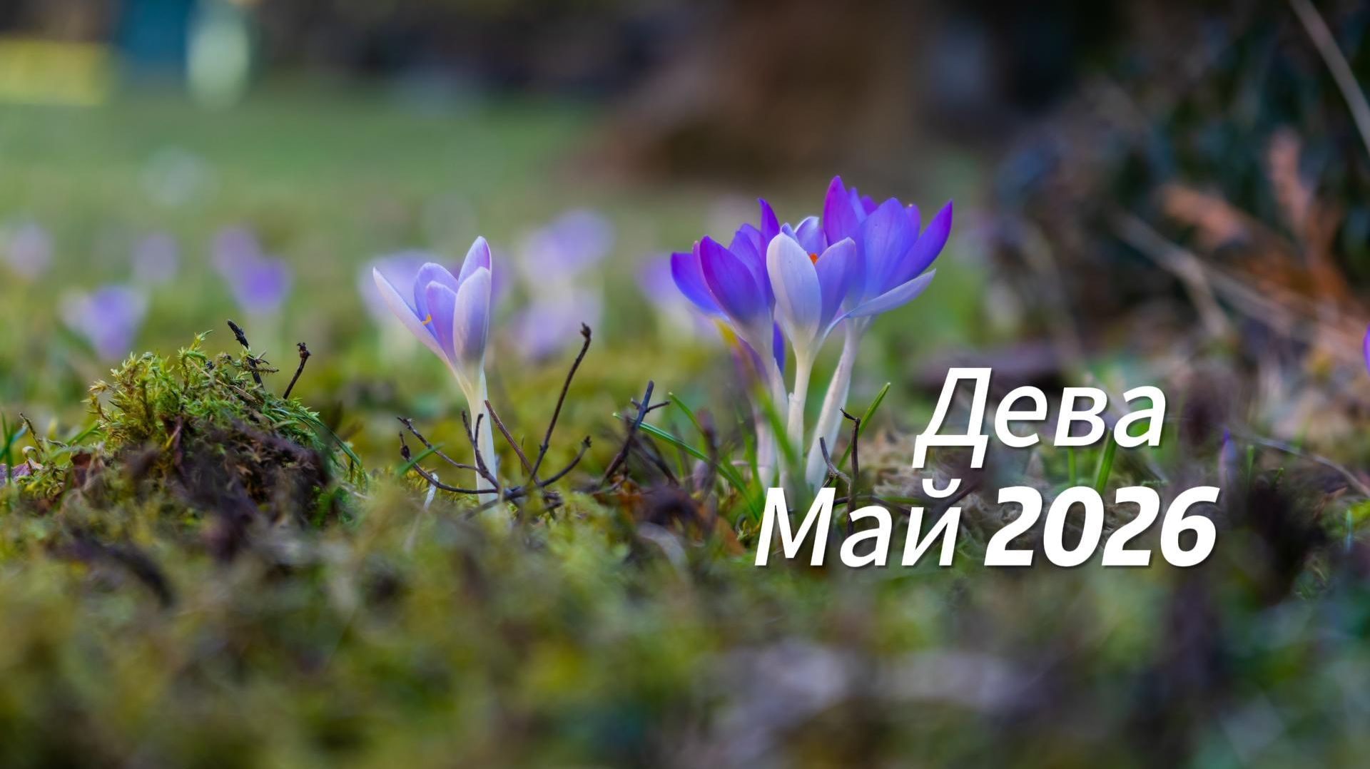 Прогноз для Дев на Май 2026