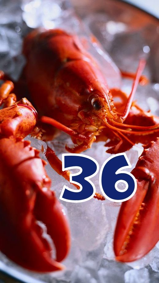 ИНТЕРЕСНЫЕ ФАКТЫ О ЛОБСТЕРАХ - КОРОТКИЕ ИНТЕРЕСНЫЕ ФАКТЫ #36