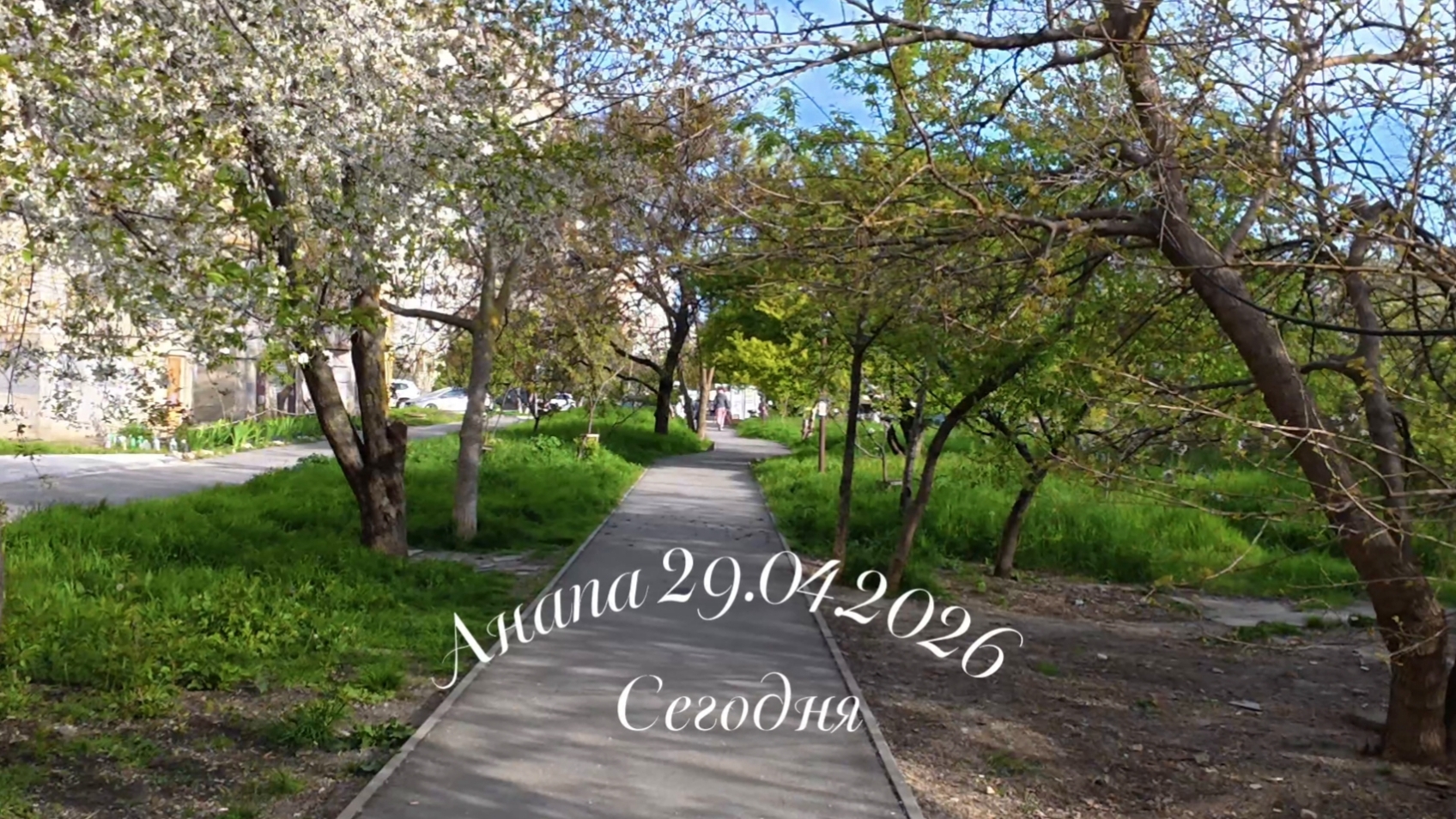 Анапа 29.04.2026 Сегодня