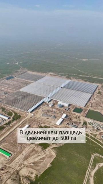 В Казахстане запускают крупнейшую теплицу в мире