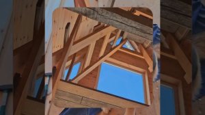 1000057249.mp4 (Собака наблюдает за устройством лестницы на 2-ой этаж в доме А-фрейм)