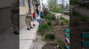 Субботник Сеченрва - 75А и 77